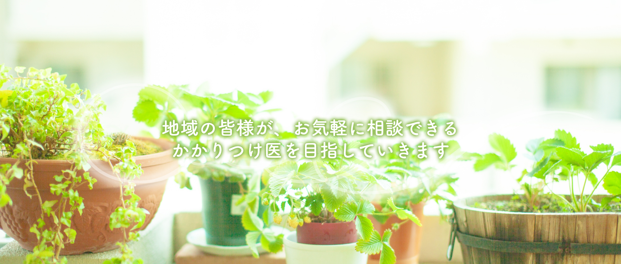 甲府市国母 国母小学校停留所 内科 外科 整形外科